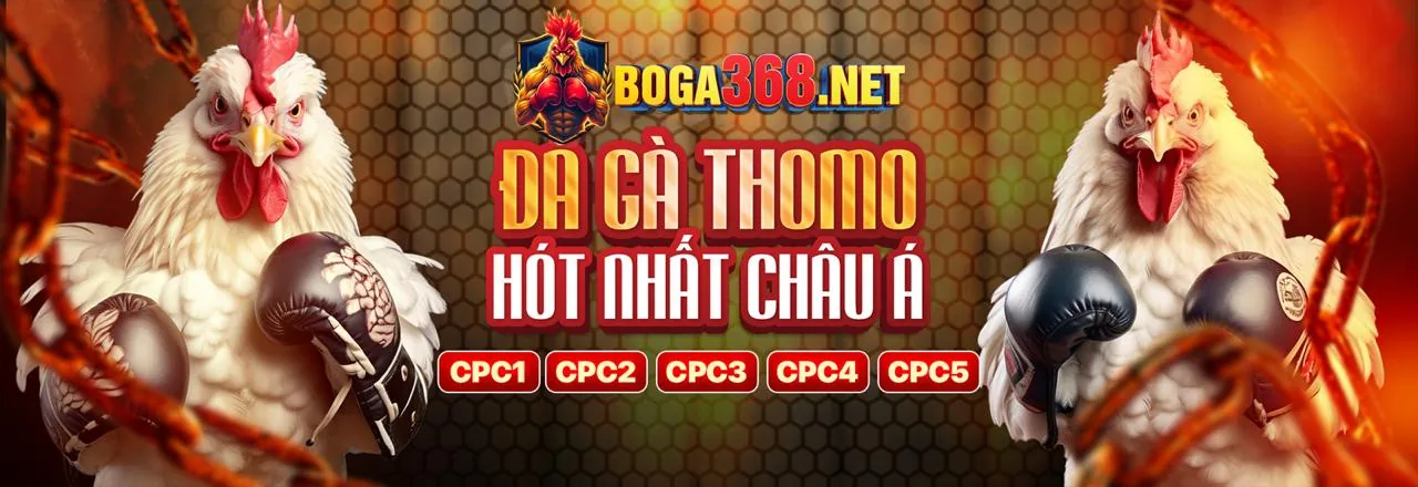 Hình ảnh biểu trưng cho các giá trị cốt lõi của C888: an toàn, công bằng, trải nghiệm khách hàng và đổi mới